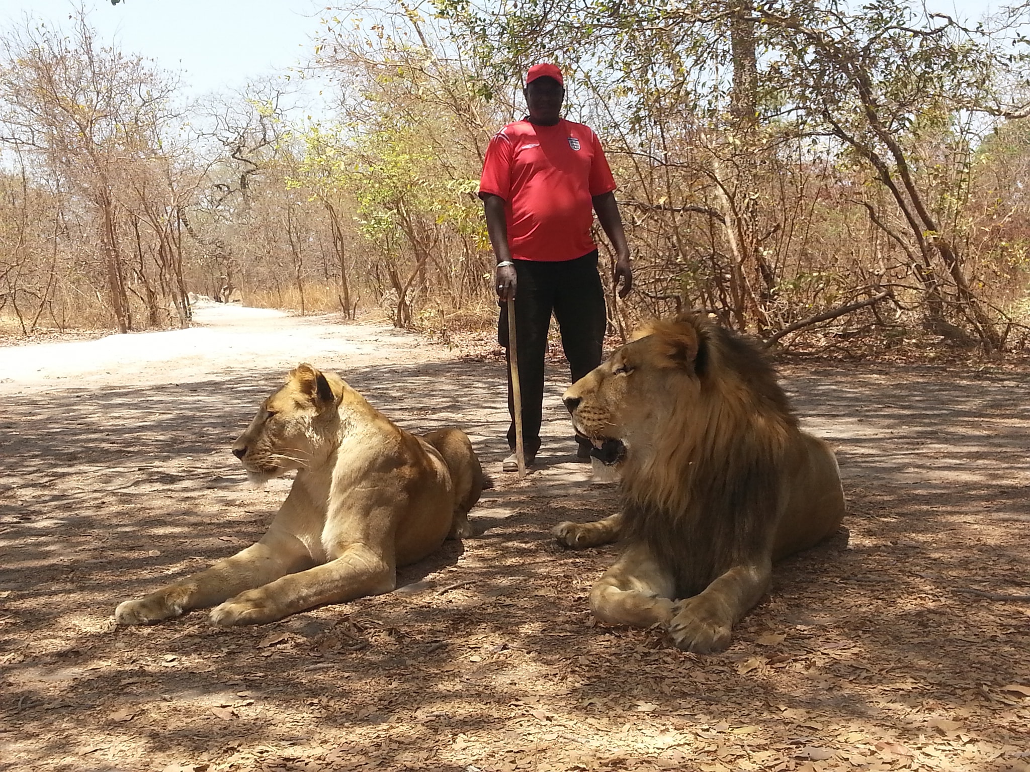 Big Mo – Simply The Best Tours